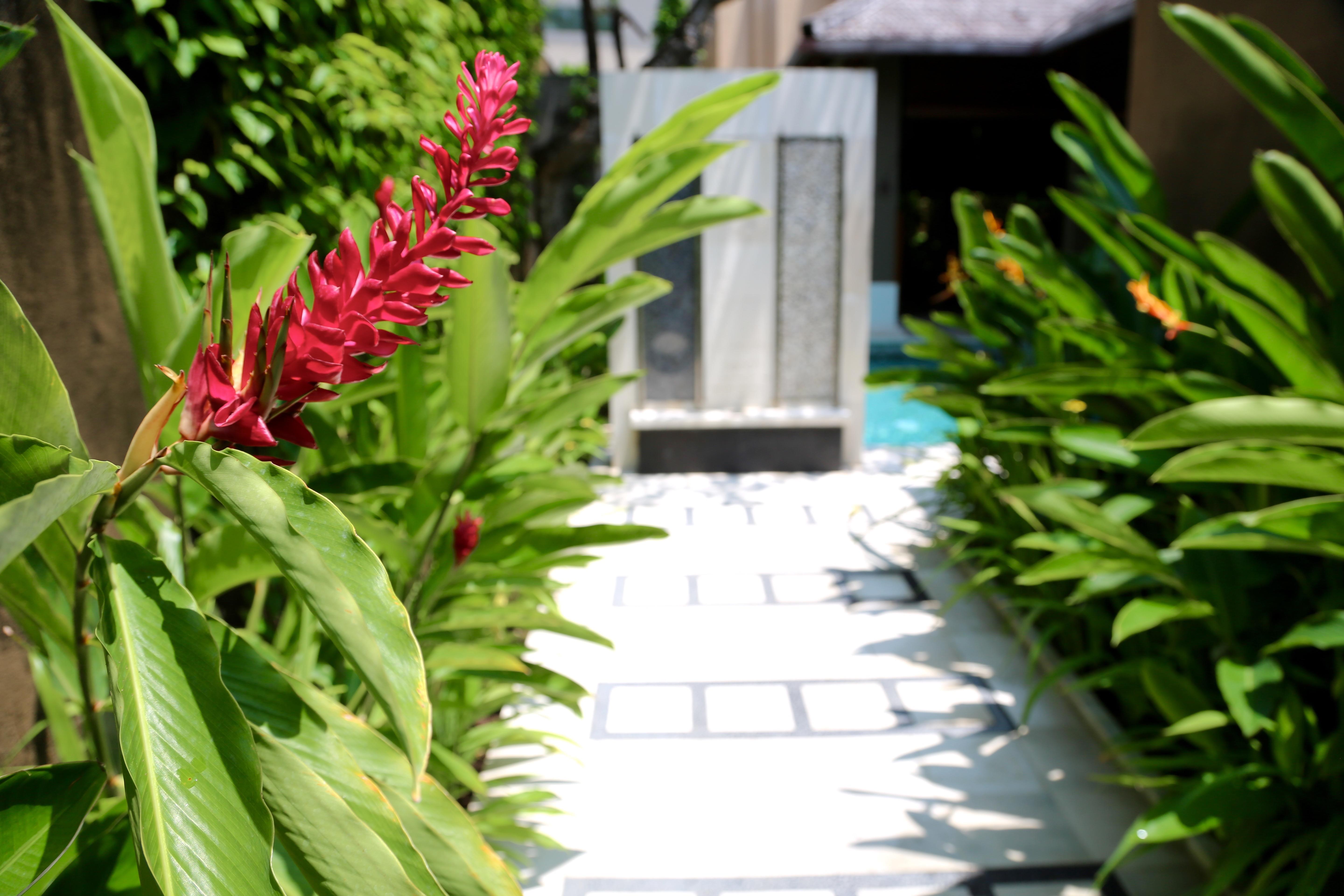 Ahimsa Beach Jimbaran Exterior foto